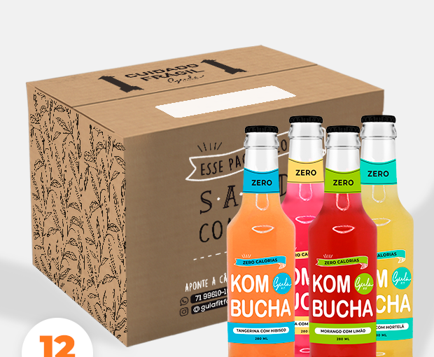 COMBO 12 KOMBUCHAS MISTAS - 280 ML