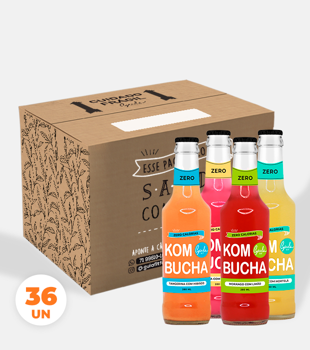 CX 36 UNDS KOMBUCHA MISTA - 280 ML