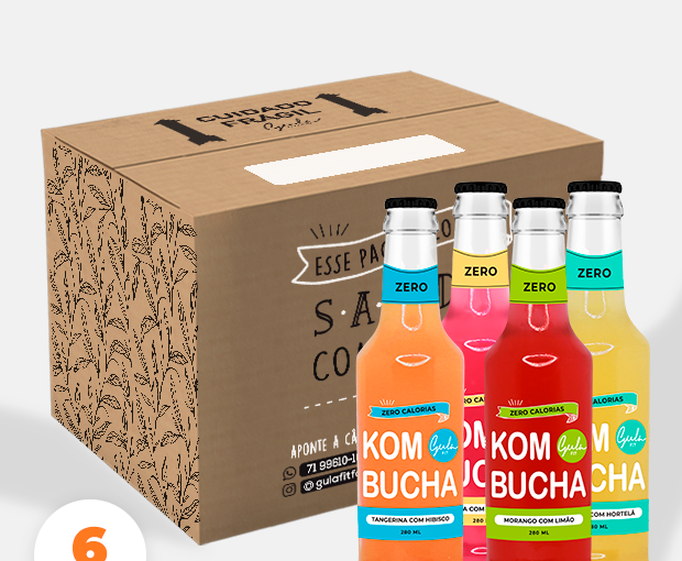 CX 6 UNDS KOMBUCHA MISTA - 280 ML