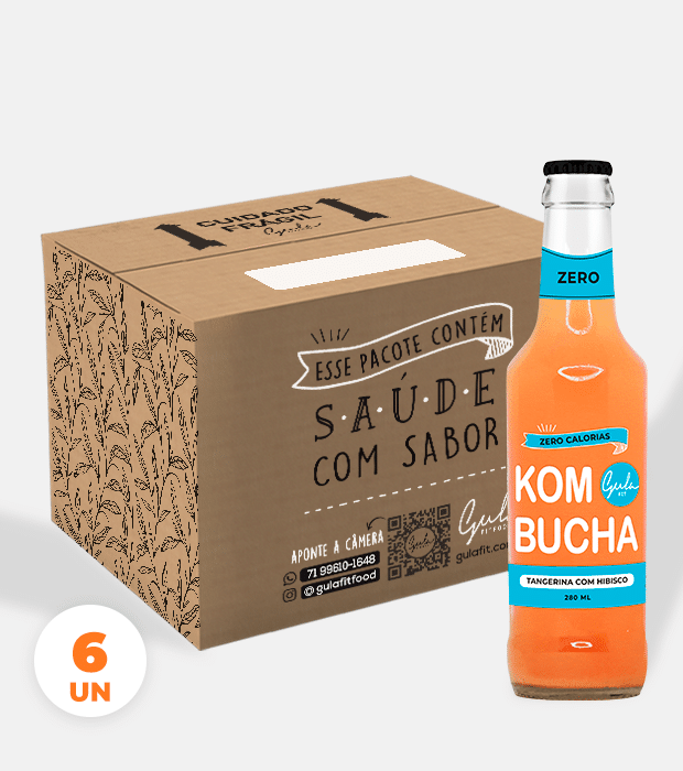 COMBO 6 KOMBUCHAS TANGERINA E HIBISCO - 280ML