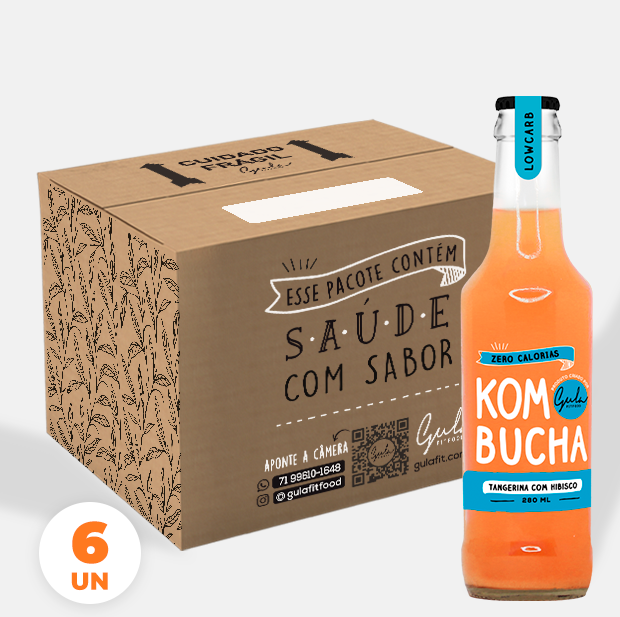 COMBO 6 KOMBUCHAS TANGERINA E HIBISCO - 280ML