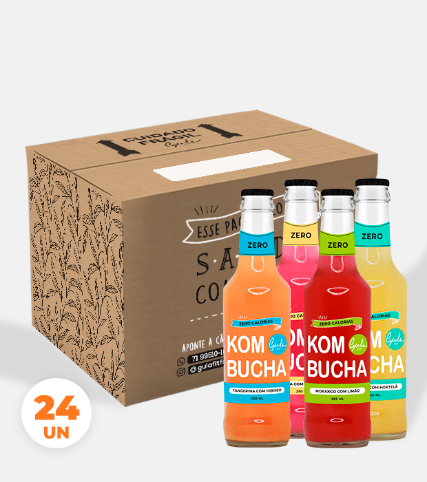 CX 24 UNDS KOMBUCHA MISTA - 280 ML