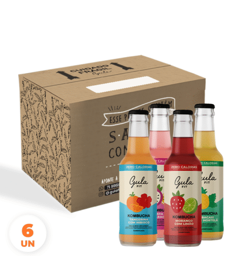 CX 6 UNDS KOMBUCHA MISTA - 280 ML