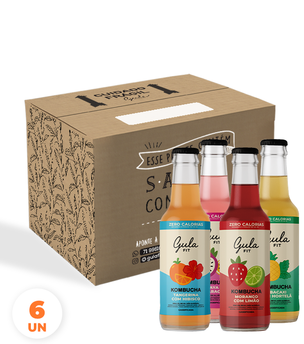 CX 6 UNDS KOMBUCHA MISTA - 280 ML