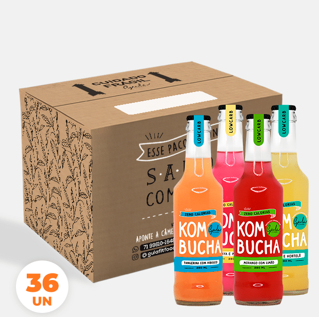 CX 36 UNDS KOMBUCHA MISTA - 280 ML