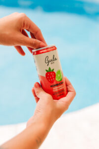 LATA KOMBUCHA MORANGO COM LIMÃO - 269 ML - Imagem 8