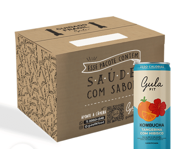 COMBO 12 LATAS KOMBUCHAS TANGERINA COM HIBISCO - 269ML