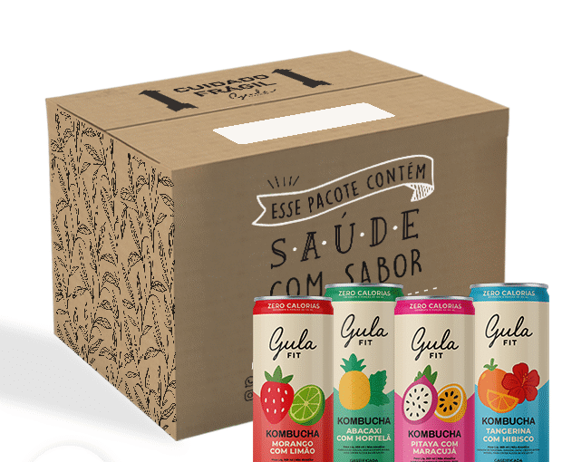 COMBO 24 LATAS KOMBUCHAS MISTA - 269ML