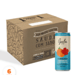 COMBO 06 LATAS KOMBUCHAS TANGERINA COM HIBISCO - 269ML