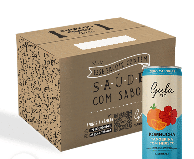 COMBO 06 LATAS KOMBUCHAS TANGERINA COM HIBISCO - 269ML