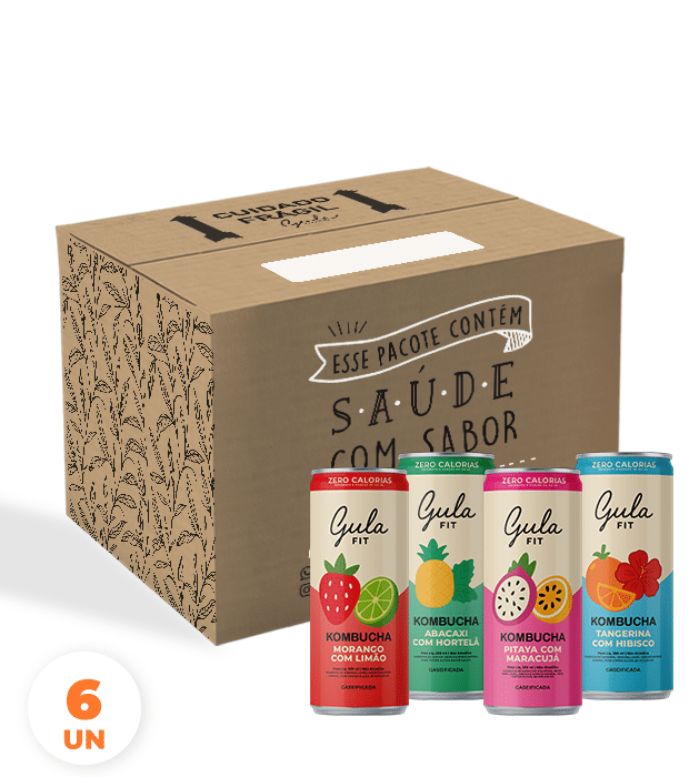 COMBO 06 LATAS KOMBUCHAS MISTA – 269ML