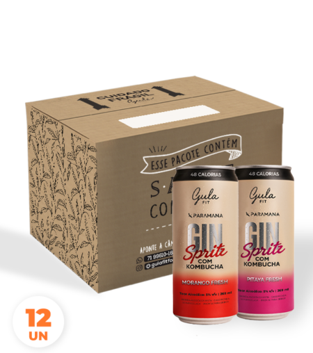 COMBO 12 UNDS GIN SPRITZ – MISTA – 269 ML