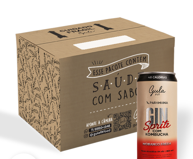 COMBO 12 UNDS GIN SPRITZ – MORANGO FRESH – 269 ML