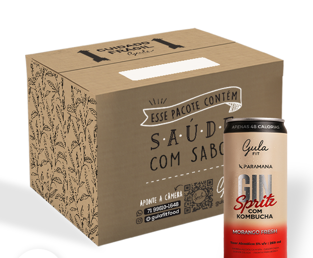 COMBO 12 UNDS GIN SPRITZ – MORANGO FRESH – 269 ML