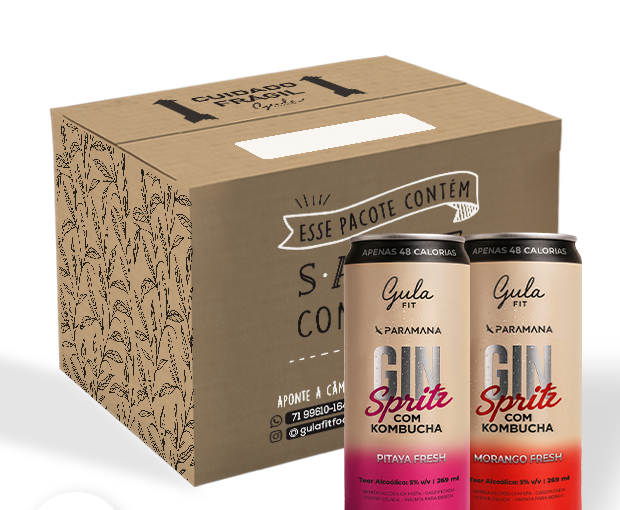 COMBO 12 UNDS GIN SPRITZ – MISTA – 269 ML